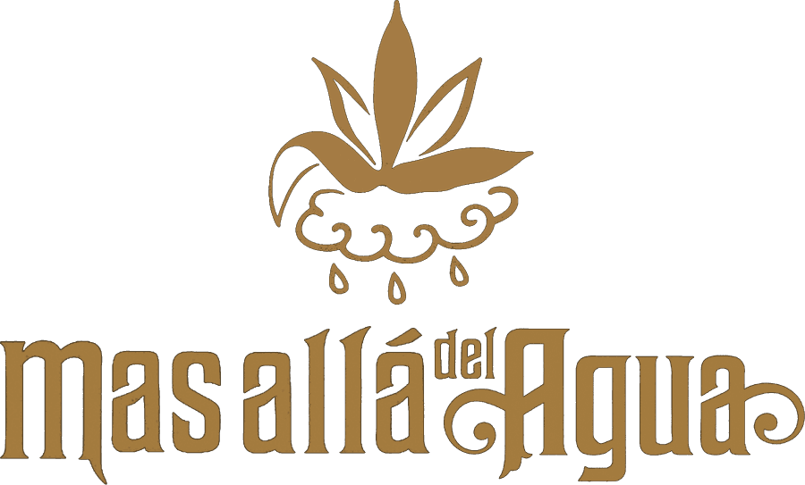 Más Allá del Agua